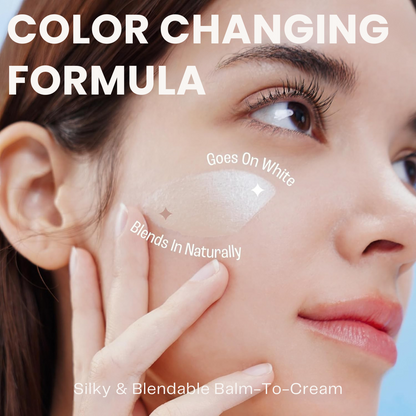 Blanc Cover Cream Stick V